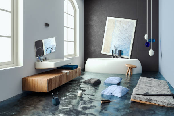 Best Water damage restoration process  in Pawnee, IL