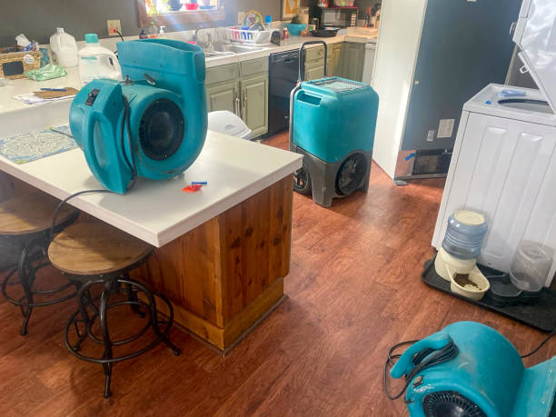 Best Flood damage cleanup  in Pawnee, IL