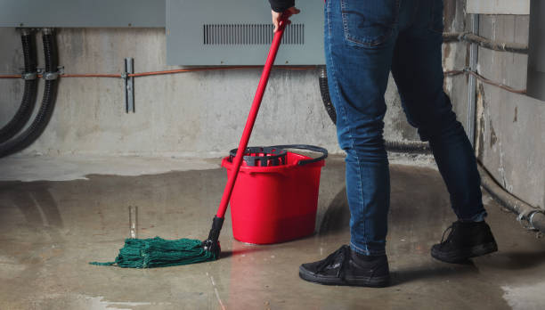 Best Mold removal after water damage  in Pawnee, IL