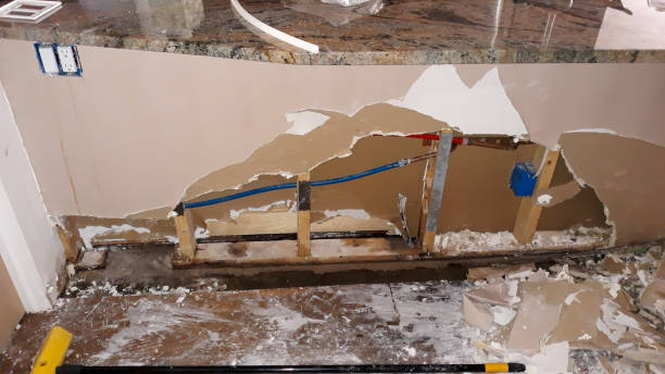 Best Local water damage restoration  in Pawnee, IL