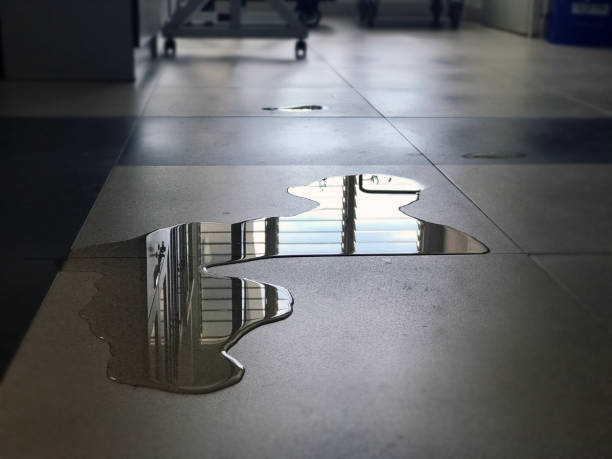 Best Emergency water damage restoration  in Pawnee, IL