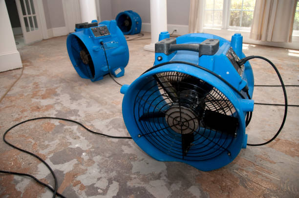 Best Sewage cleanup and water damage restoration  in Pawnee, IL