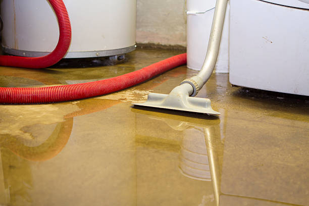 Best Emergency water extraction  in Pawnee, IL