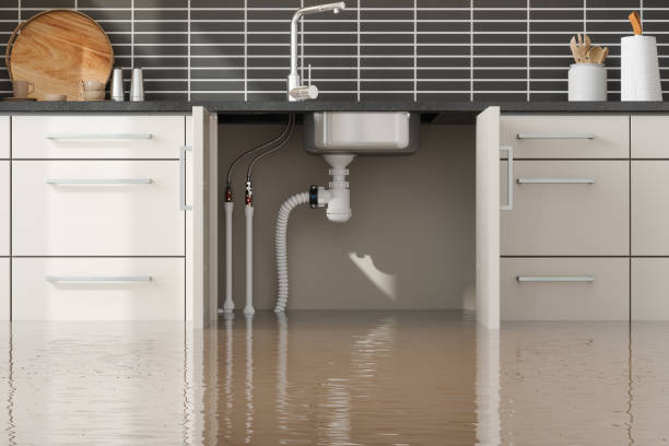 Best Flood restoration services  in Pawnee, IL