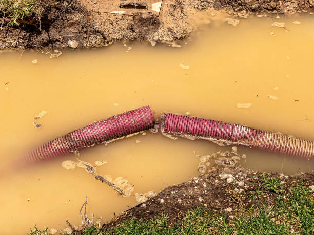 Best Water damage restoration near me  in Pawnee, IL