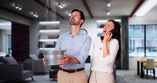 Best Professional water damage repair  in Pawnee, IL